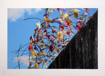 Imagine A World Without Borders 2 Archival Print by Icy & Sot