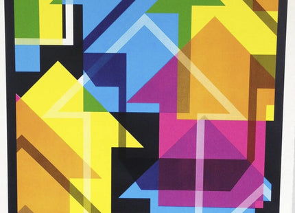 Incognito Black Silkscreen Print by Tavar Zawacki- Above