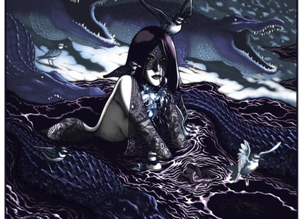 Lace Shawl Moonlight Silkscreen Print by Justin Anville