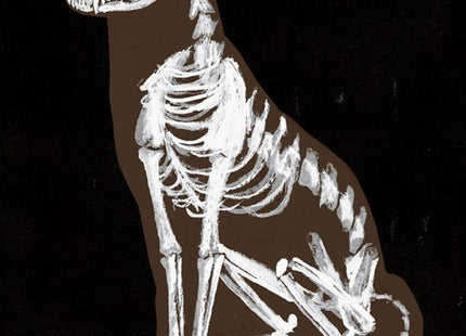 Le Renard Anatomie Archival Print by Jen Collins