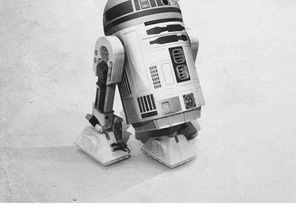 Lemon R2 Unit Silkscreen Print by Justin Van Genderen