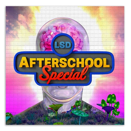 LSD Afterschool Special Blotter Paper Archival Print by Have A Good Trip