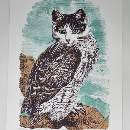 Meowl 12x16 Silkscreen Print by Nate Duval