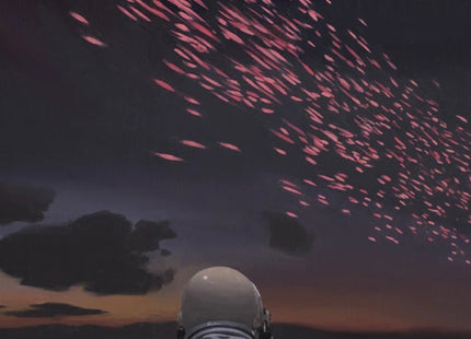 Night Lights Archival Print by Scott Listfield