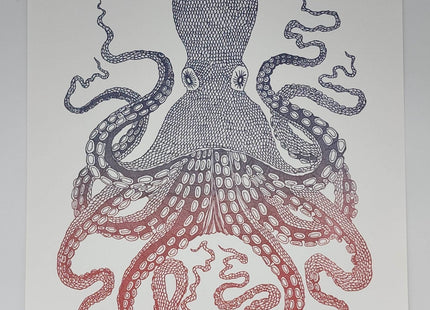 Octopus Silkscreen Print by Nate Duval
