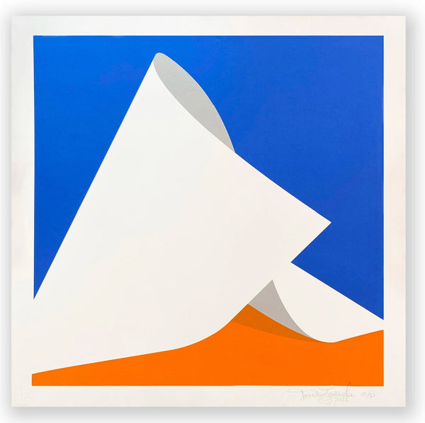 Papel 25 Silkscreen Print by Tavar Zawacki- Above