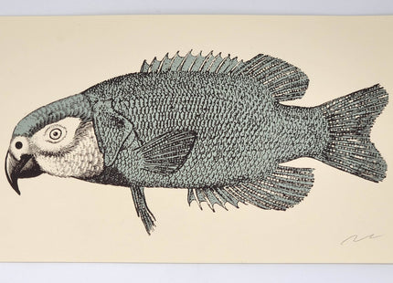 Parrotfish Silkscreen Print by Nate Duval