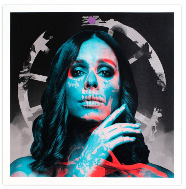 Pride Silkscreen Print by Insane51