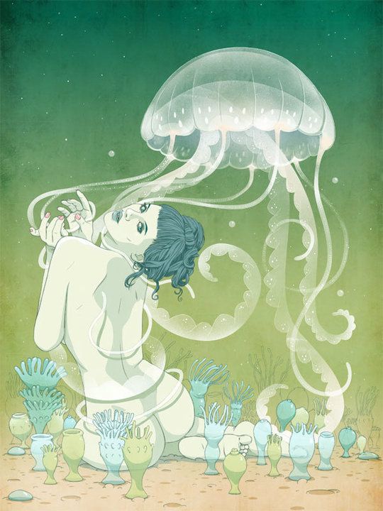 Schyphozoan Lifecycle Giclee Print by Jason Levesque