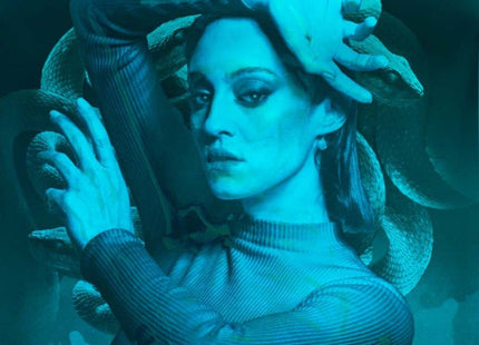 Sloth Silkscreen Print by Insane51