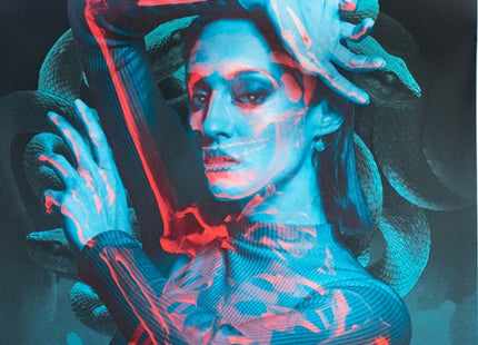 Sloth Silkscreen Print by Insane51