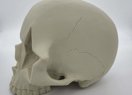 Star Skull 2015 SDCC Exclusive Art Toy by Ron English