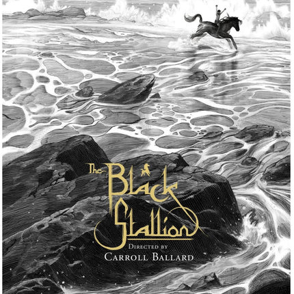 The Black Stallion Silkscreen Print by Nicolas Delort
