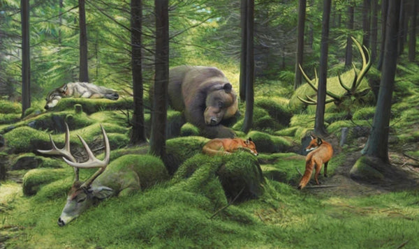 L'impression giclée de Sleeping Woods par Josh Keyes