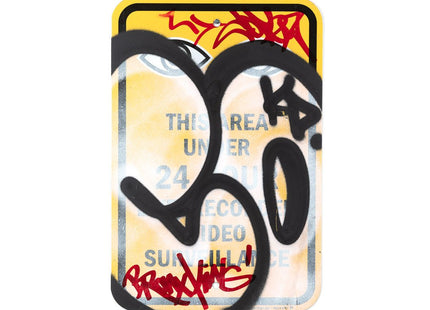 Video Surveillance 12x18 II Original Street Sign Graffiti Painting by Cope2- Fernando Carlo